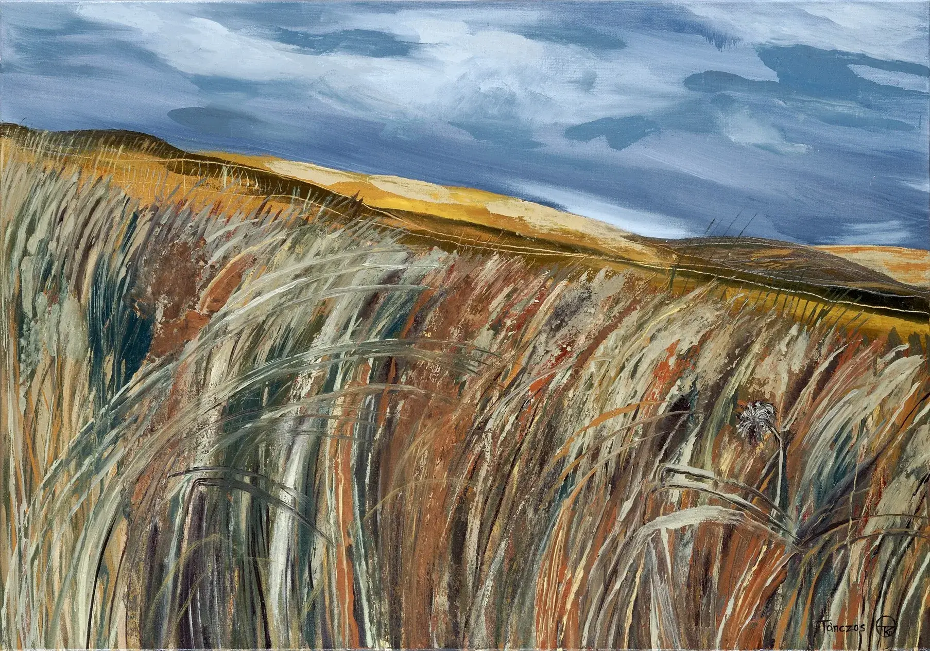 Mezőnjáró, olaj, vászon 70x100 cm 2007